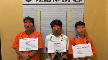 Polres Tapanuli Tengah Tangkap 3 Pengedar Ganja, Sita 900 Gram di Pinang Sori